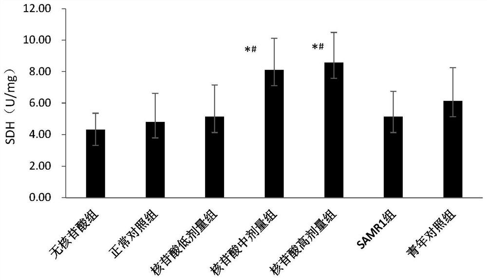 Application of nucleotide mixture in preparing preparations for preventing or alleviating senile sarcopenia