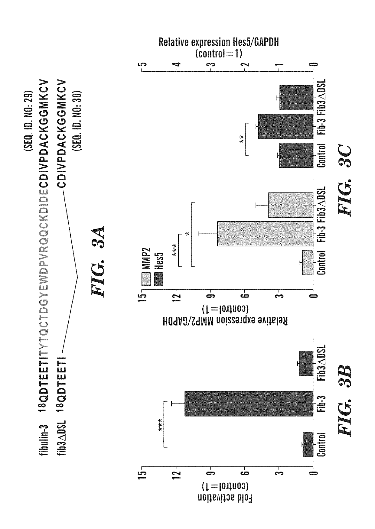 Anti-fibulin-3 antibodies and uses thereof