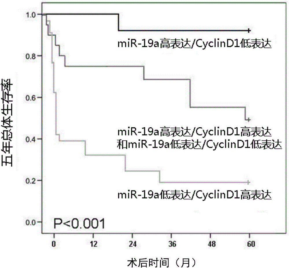 Use of molecular marker detection object in preparation of kit for detecting liver cancer