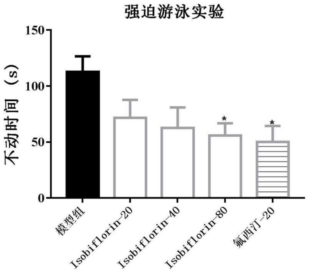 Application of isobiflorin or its pharmaceutically acceptable salt in preparation of antidepressant pharmaceutical composition