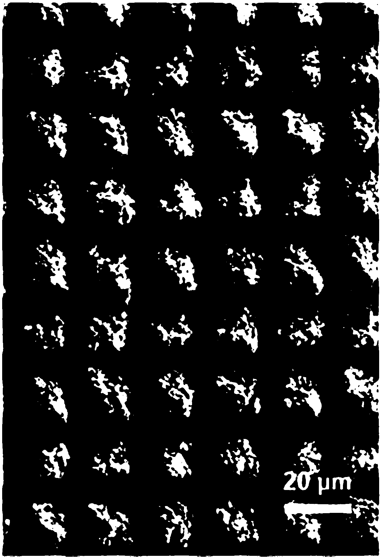 Highly uniform micro-cone array structure preparation method