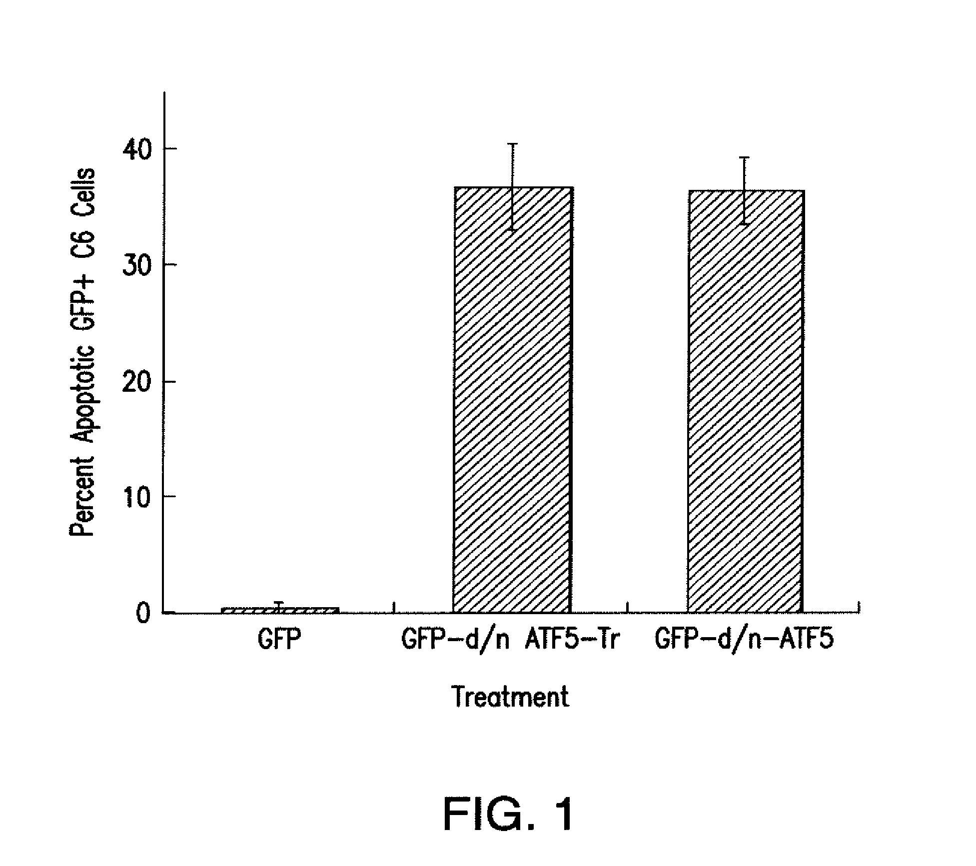 Compositions and methods for inhibiting tumor cells by inhibiting the transcription factor atf5