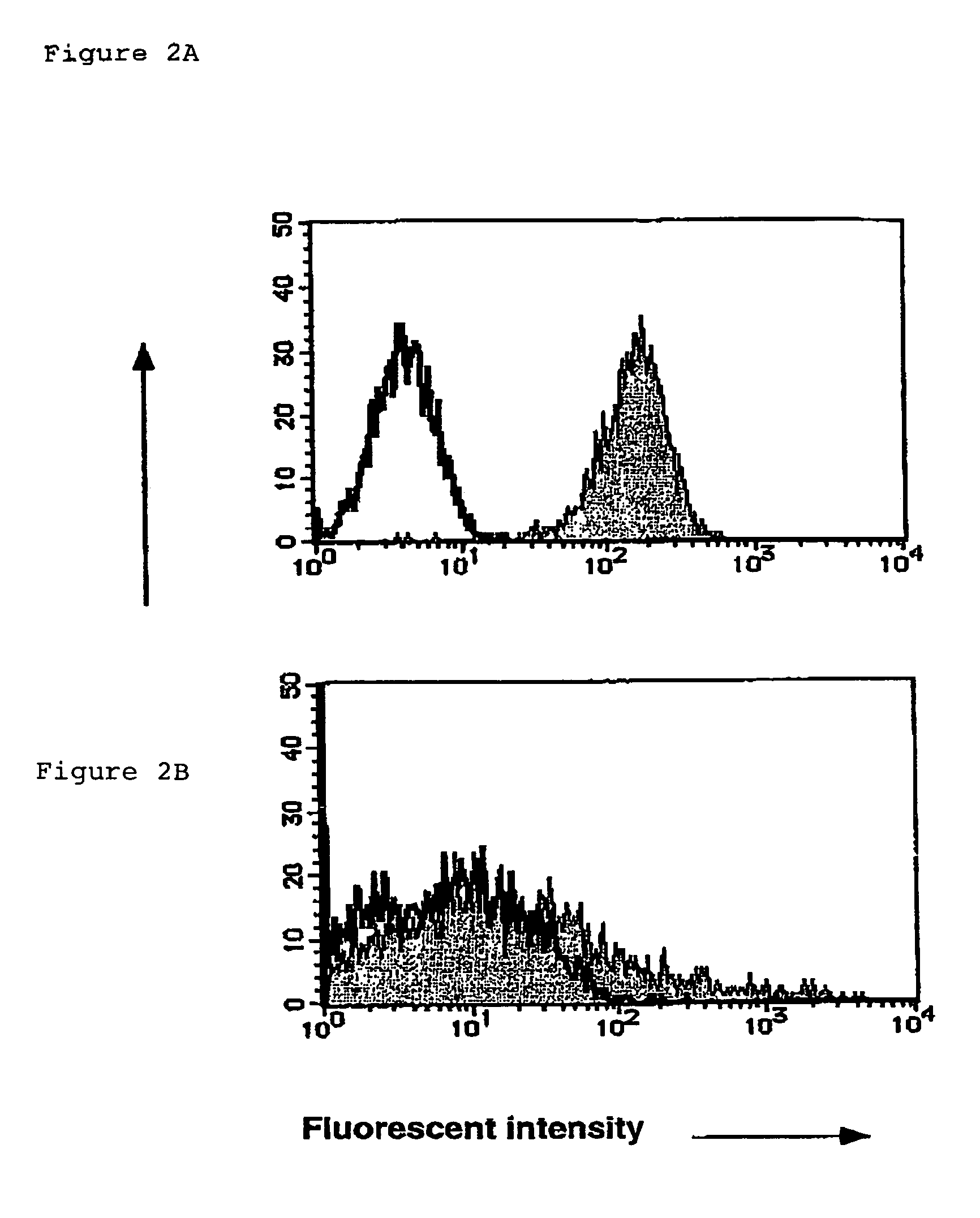 Method for preparing cell fraction containing hemangioblasts