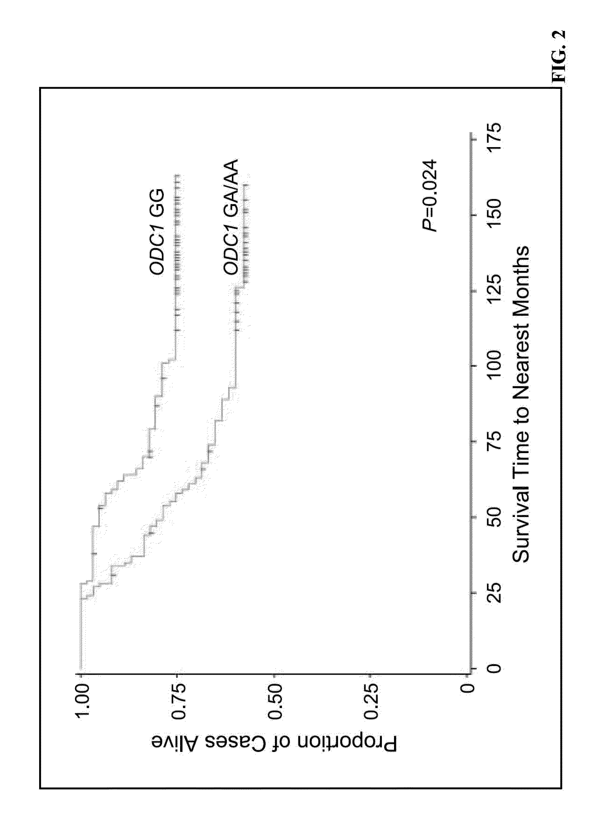 Cancer prevention and treatment methods based on dietary polyamine content