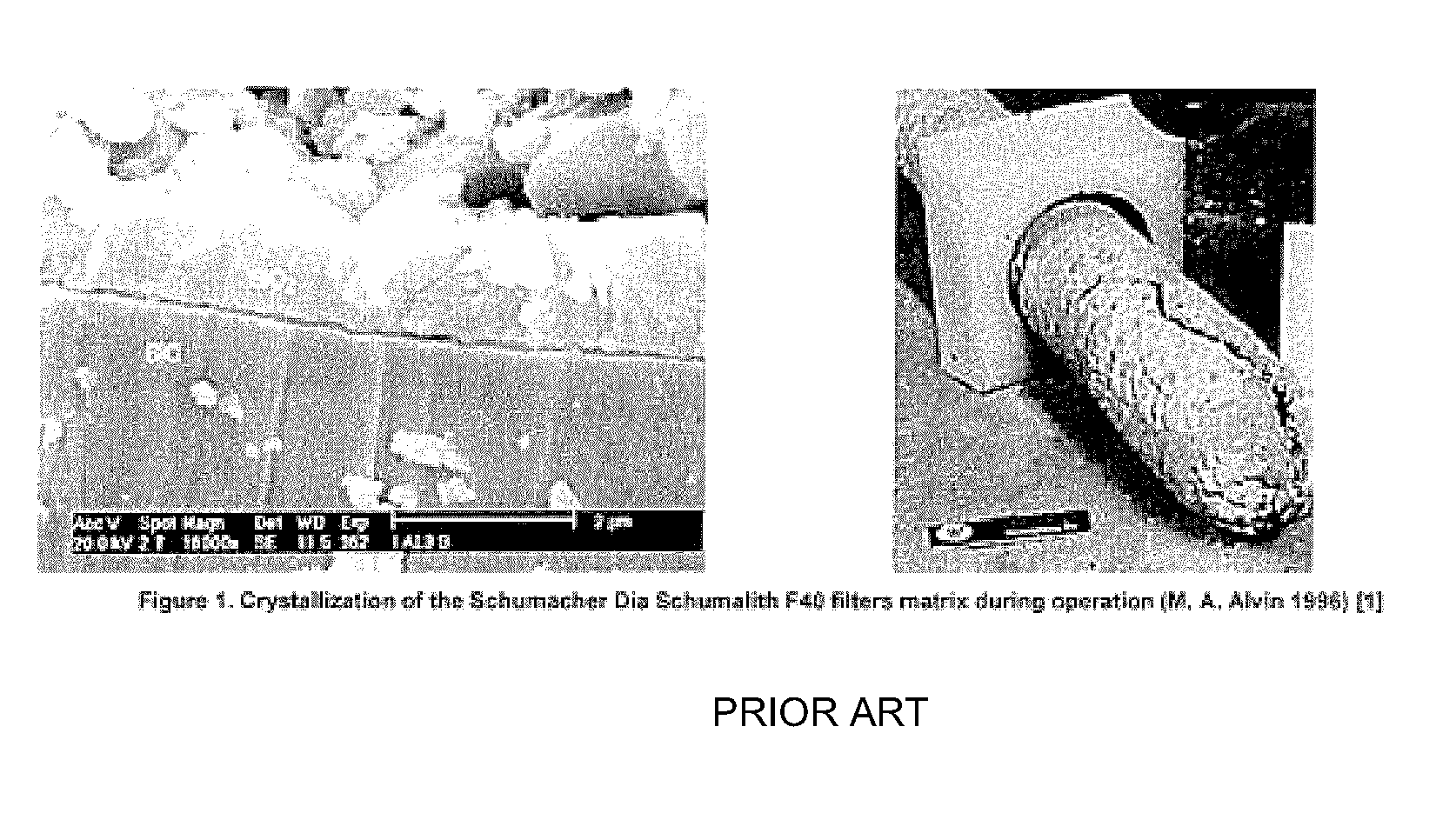 POROUS SiC CERAMIC AND METHOD FOR THE FABRICATION THEREOF