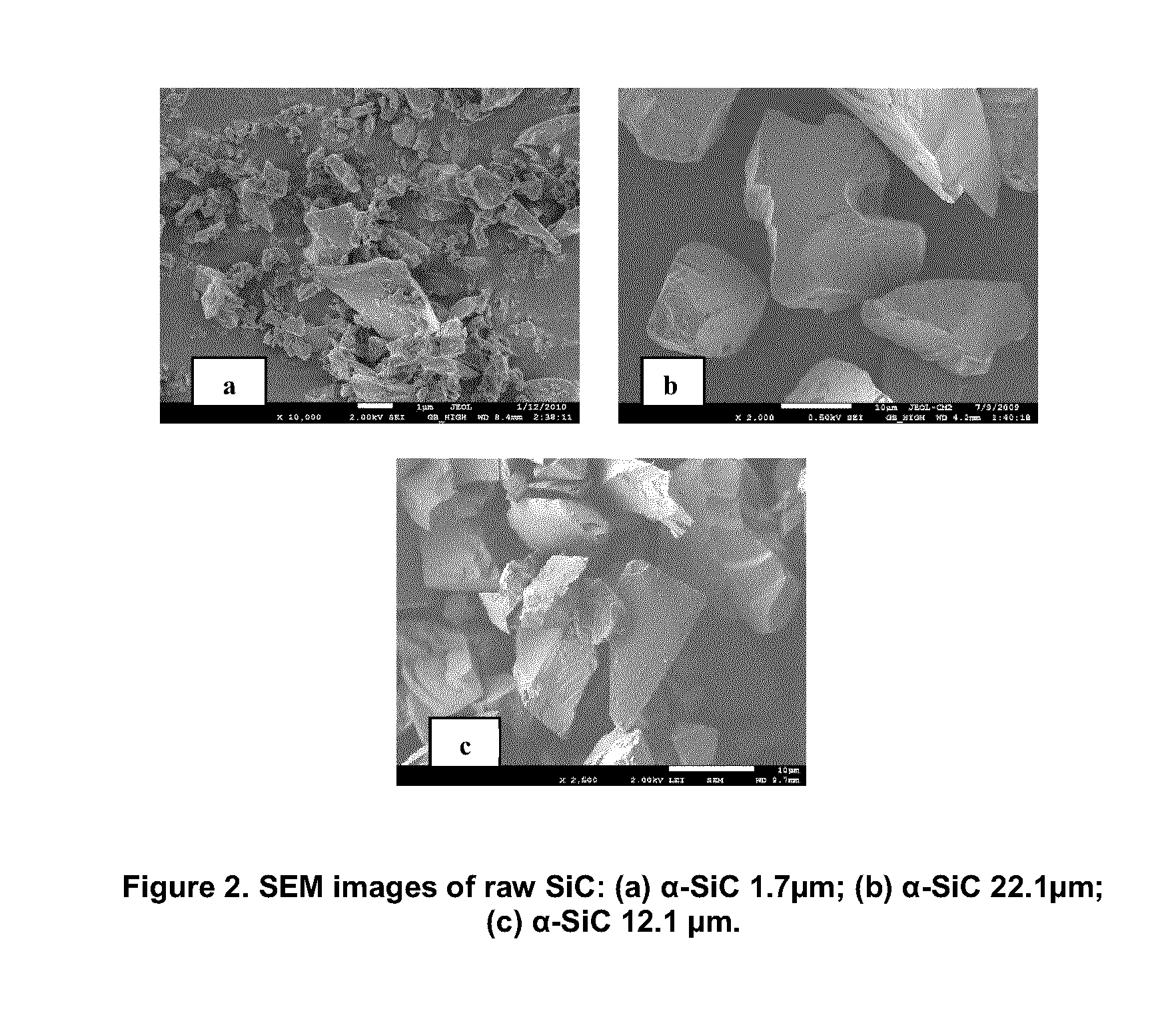 POROUS SiC CERAMIC AND METHOD FOR THE FABRICATION THEREOF