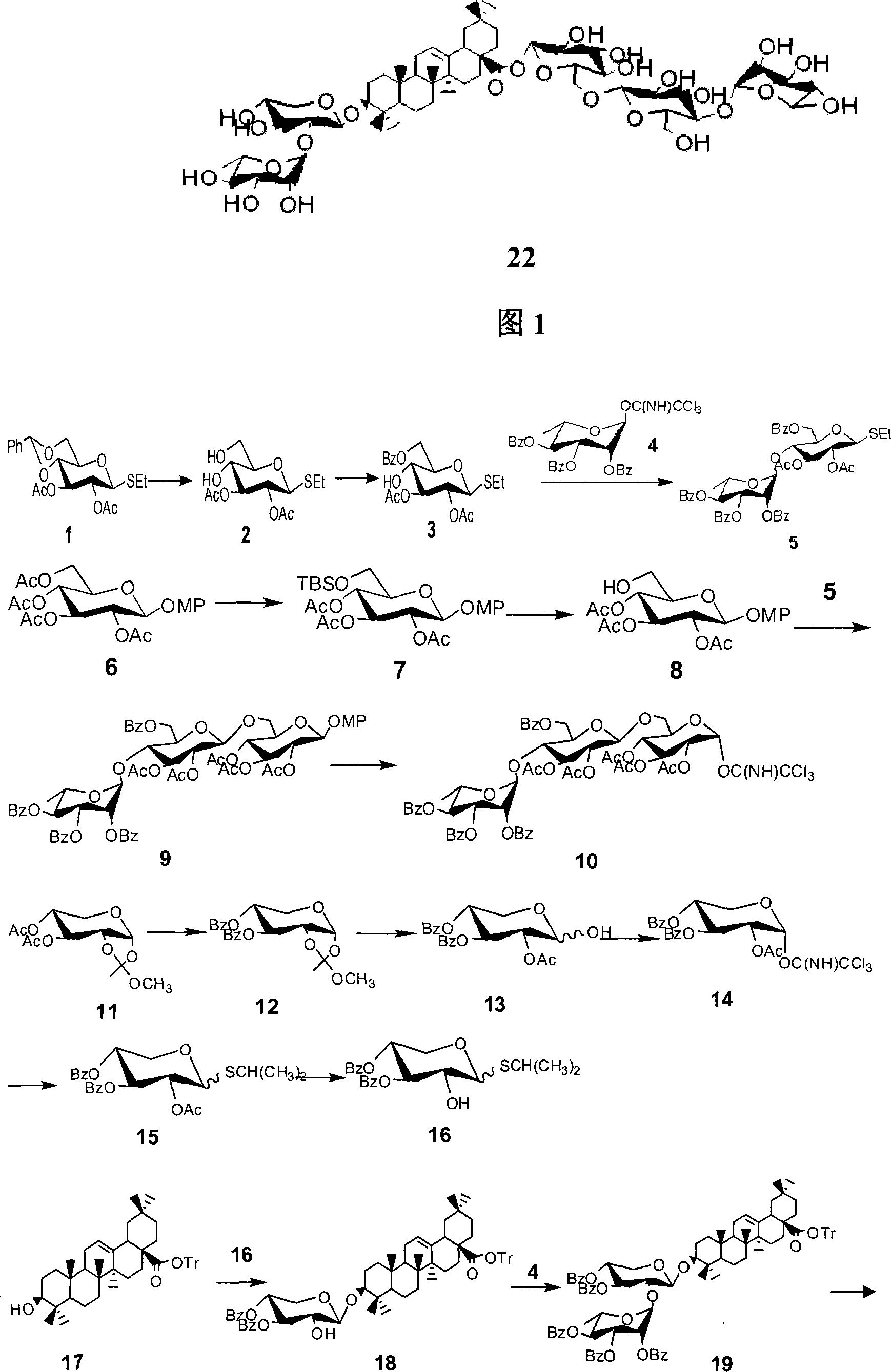 Method for synthesizing anemone flaccida saponins W3