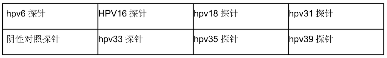 Printing method for biochip and its application