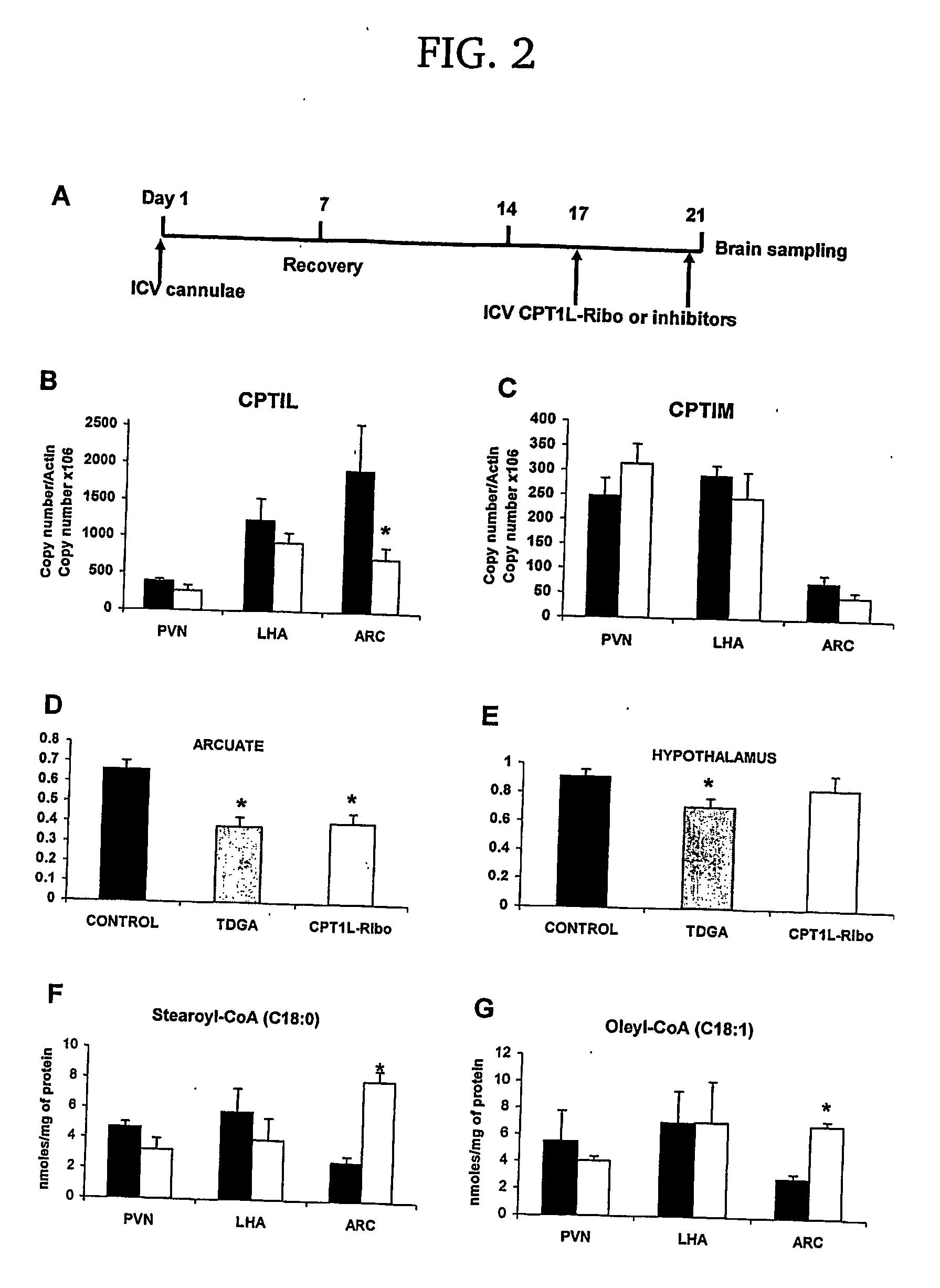 Regulation of food intake and glucose production by modulation of long-chain fatty acyl-coa levels in the hypothalamus