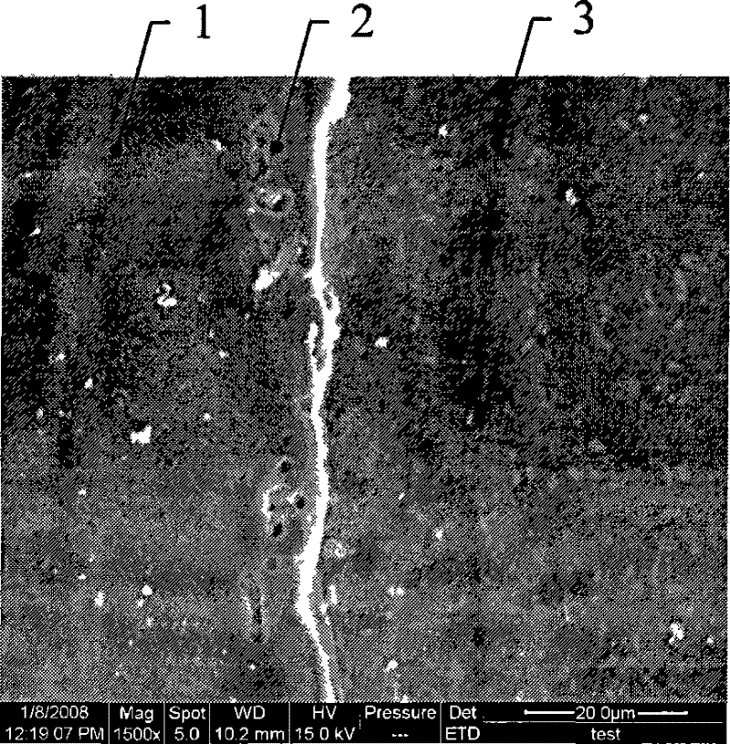 Method of preparing corrosive thermal insulation anti-ablation composite coating on light alloy surface