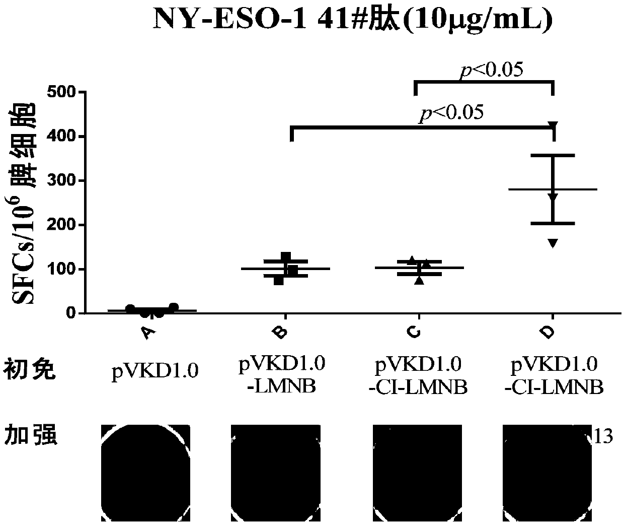 CD4 helper T cell epitope fusion peptide and vaccines thereof