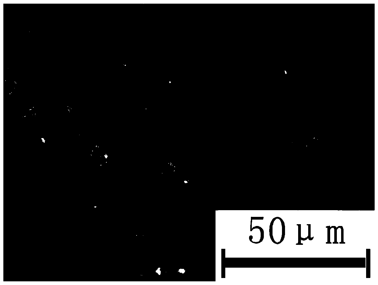 Preparation method of microbiological corrosion resistant A1N/Ti ceramic metal composite coating