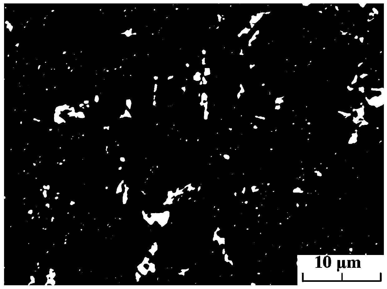 Preparation method of microbiological corrosion resistant A1N/Ti ceramic metal composite coating