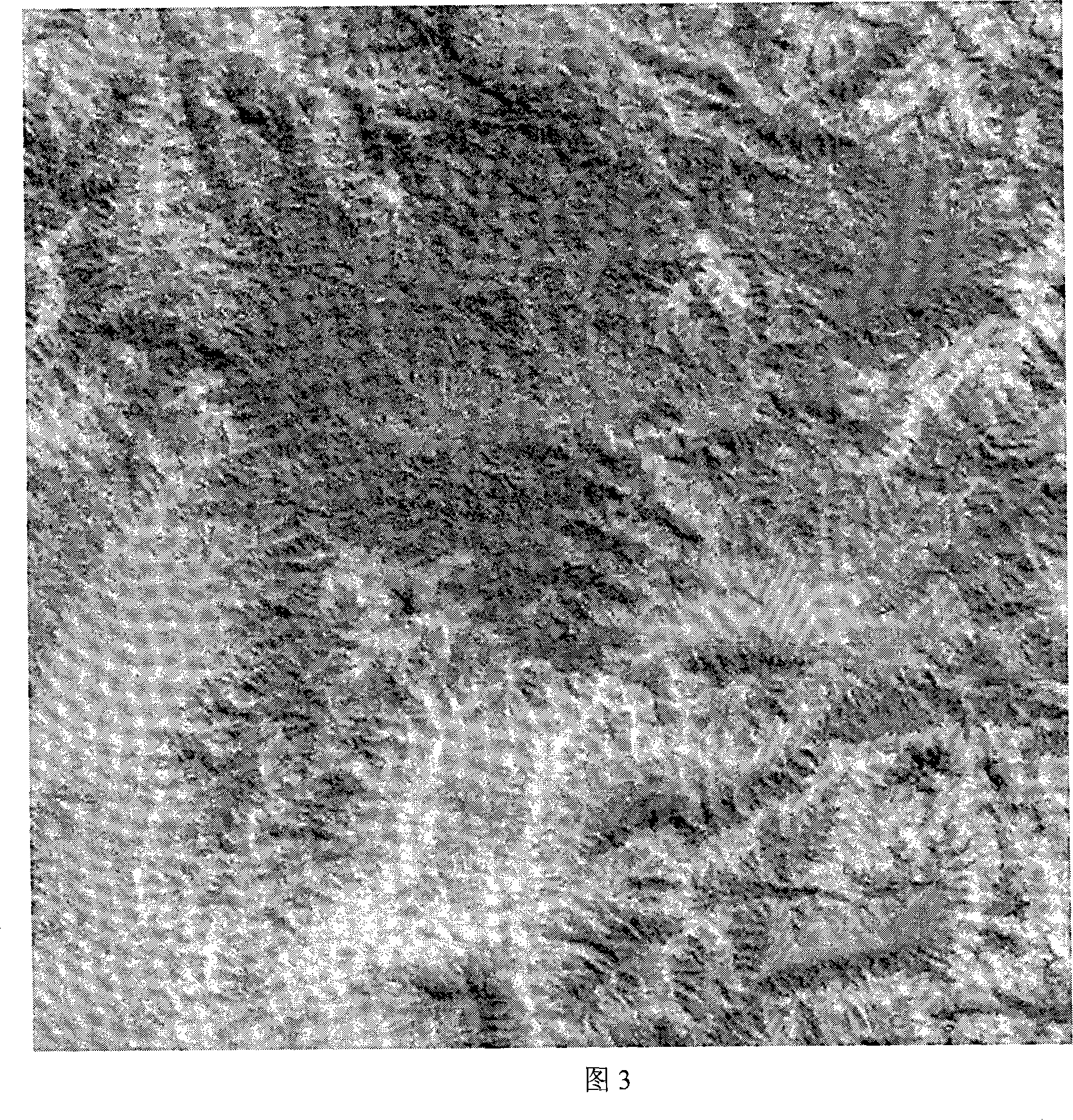 Method for generating underwater non-shadow sonar remote sensing orthographic digital image by computer