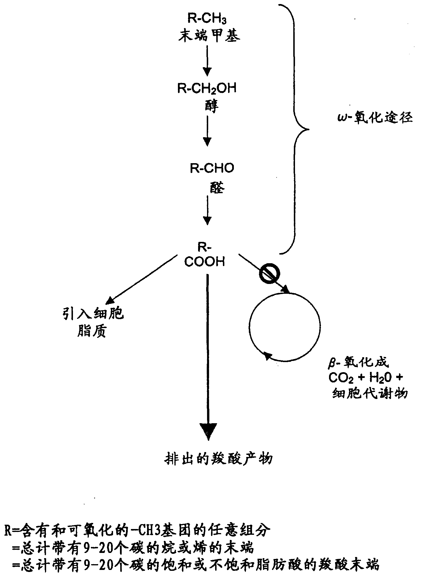 Method for controlling biooxidation reactions