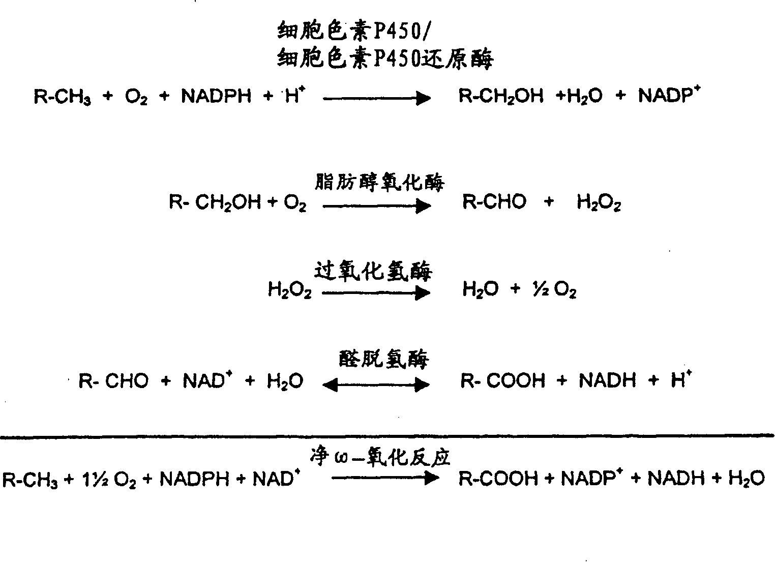 Method for controlling biooxidation reactions