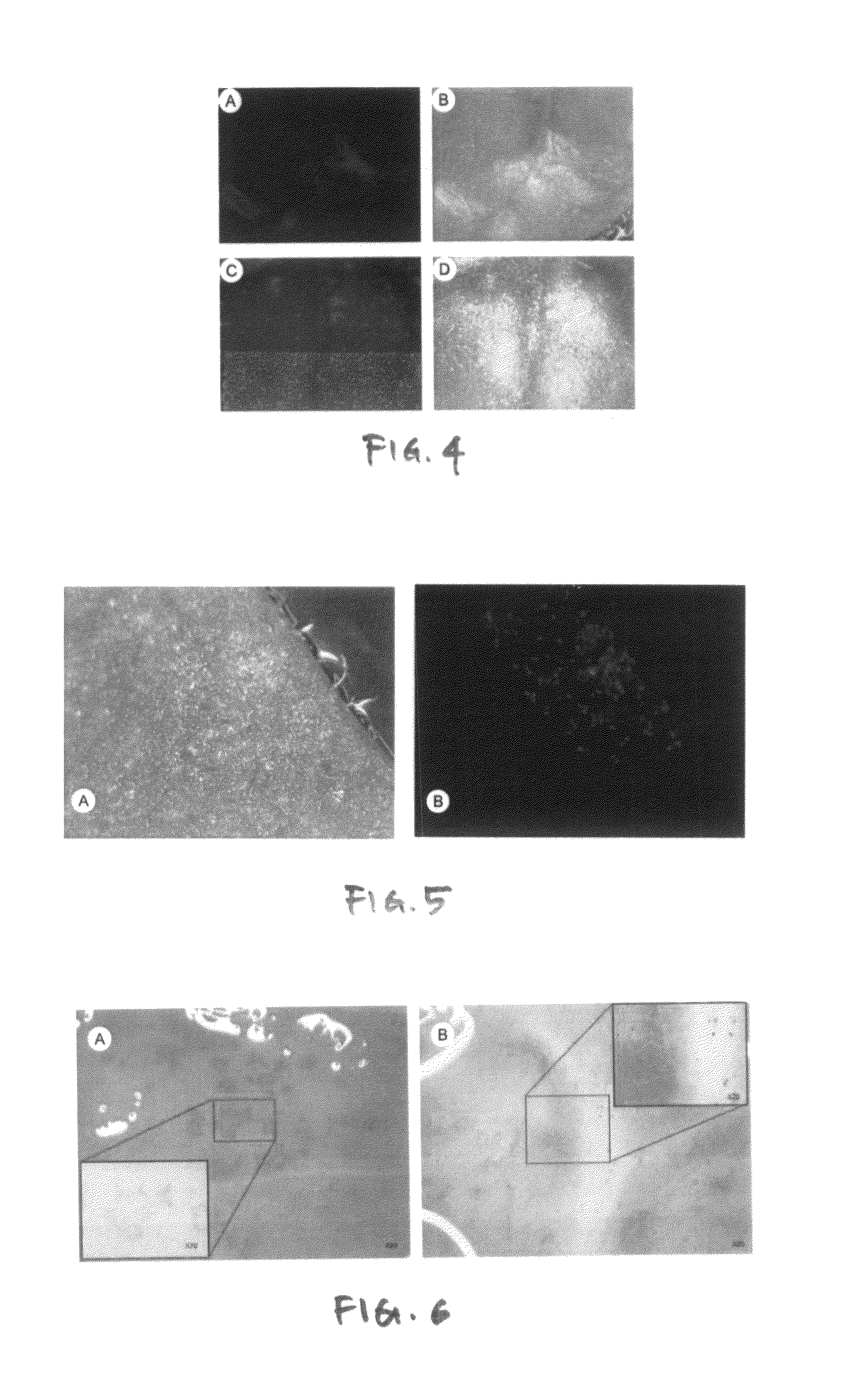 Methods of using capped mesoporous silicates