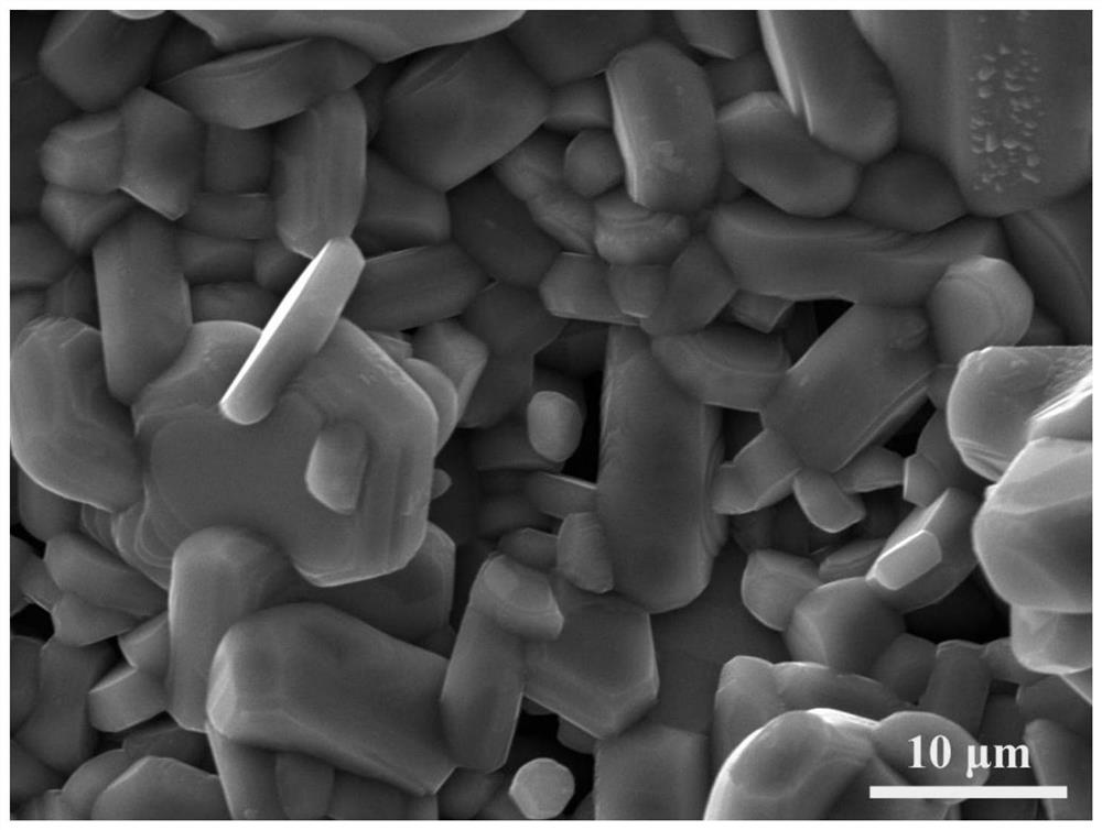 Radial nanowires grown on the surface of a c/c-si composite material and its preparation method at room temperature