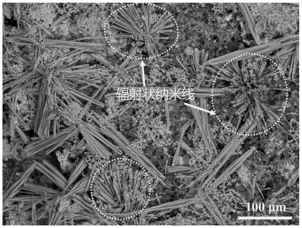 Radial nanowires grown on the surface of a c/c-si composite material and its preparation method at room temperature