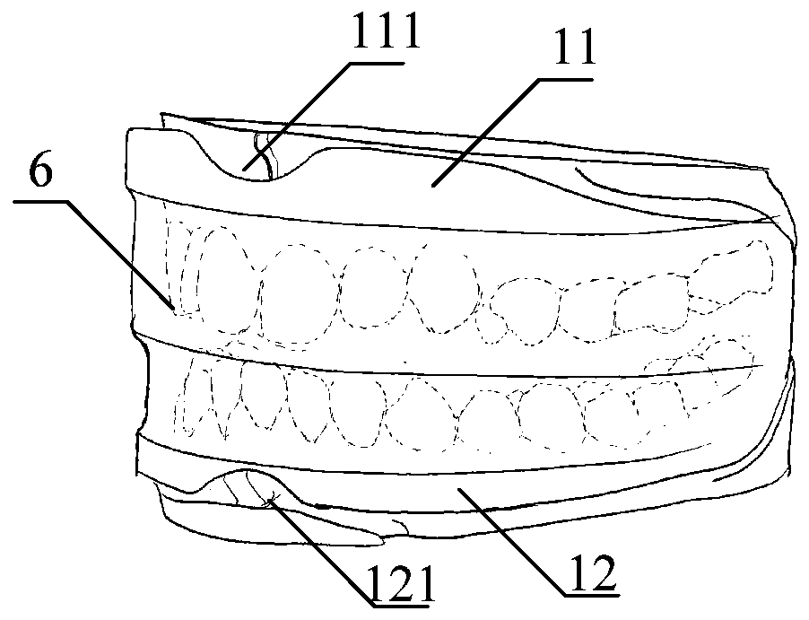 Tooth arrangement device, tooth arrangement box set as well as preparation method and application for tooth arrangement device