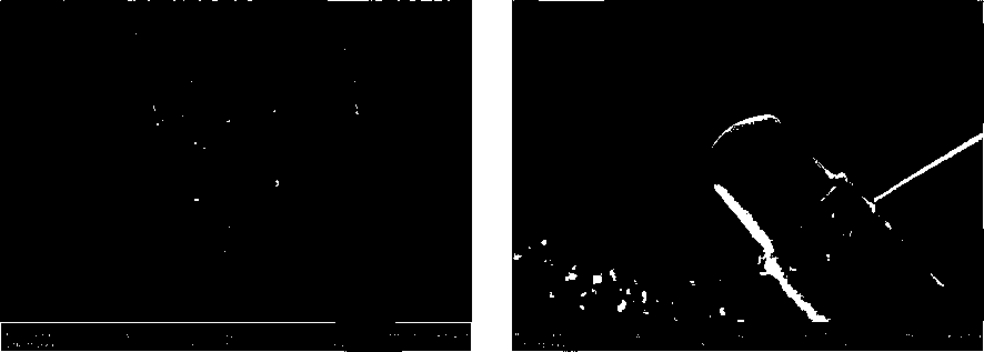 Preparation method of single crystal indium nanowire and its products and applications