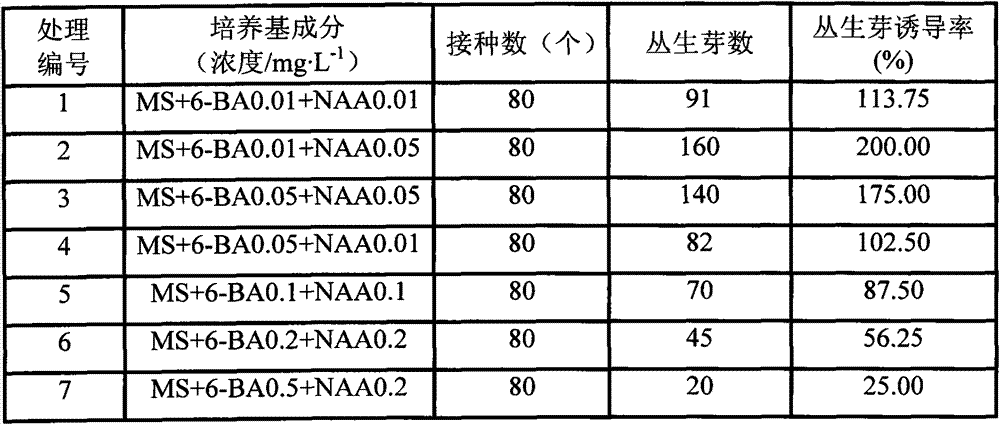 Tissue culture method of dianthus deltoids