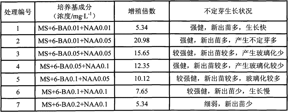 Tissue culture method of dianthus deltoids