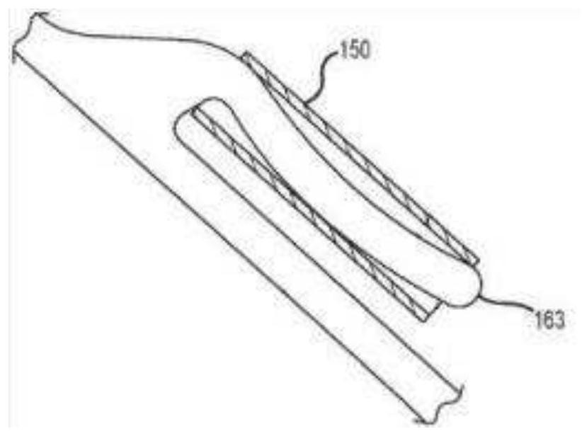 Developing structure, stent and thrombus removal system