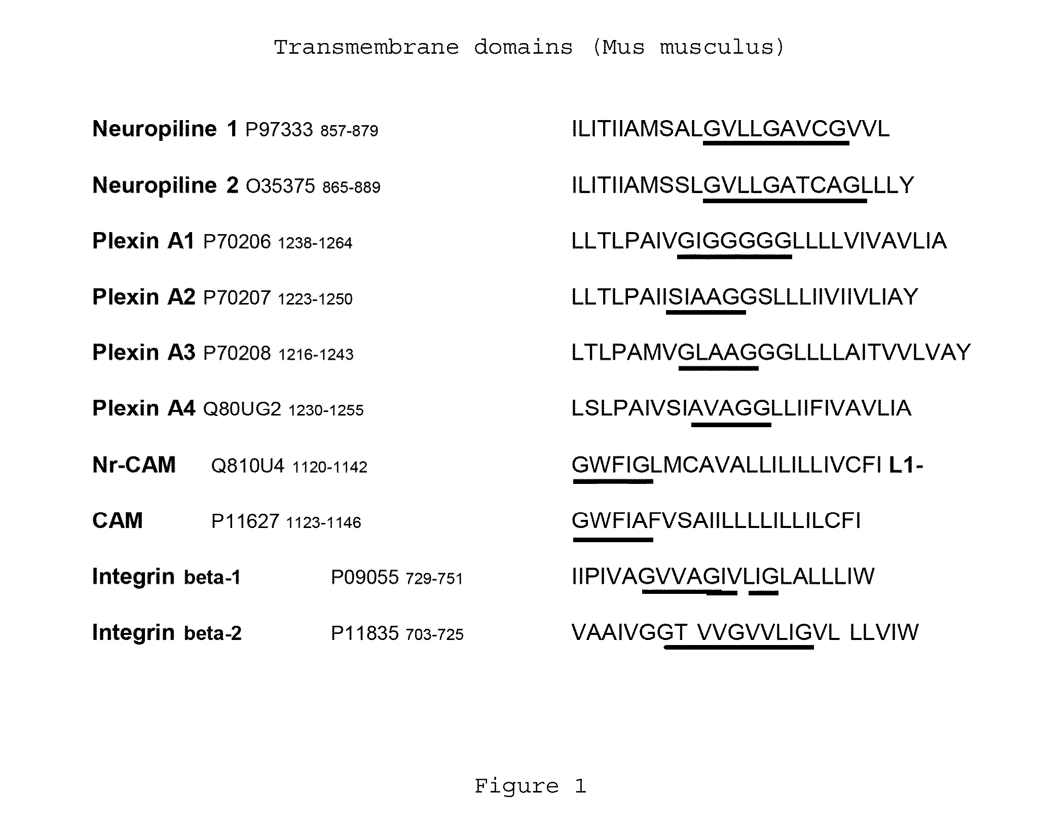 Peptidic antagonists of class iii semaphorins/neuropilins complexes