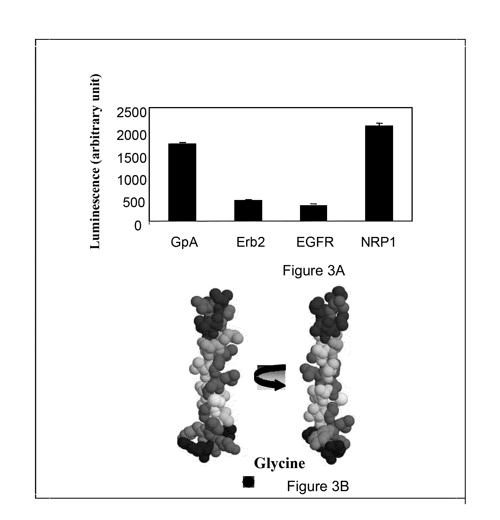 Peptidic antagonists of class iii semaphorins/neuropilins complexes