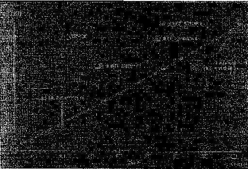 Nepheline syenite powder and production method thereof