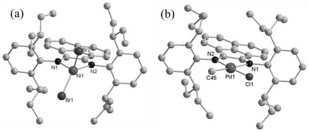 Large sterically hindered flexible diimine ligands, nickel and palladium diimine complexes based thereon and their catalytic applications