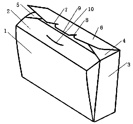 Novel packaging carton