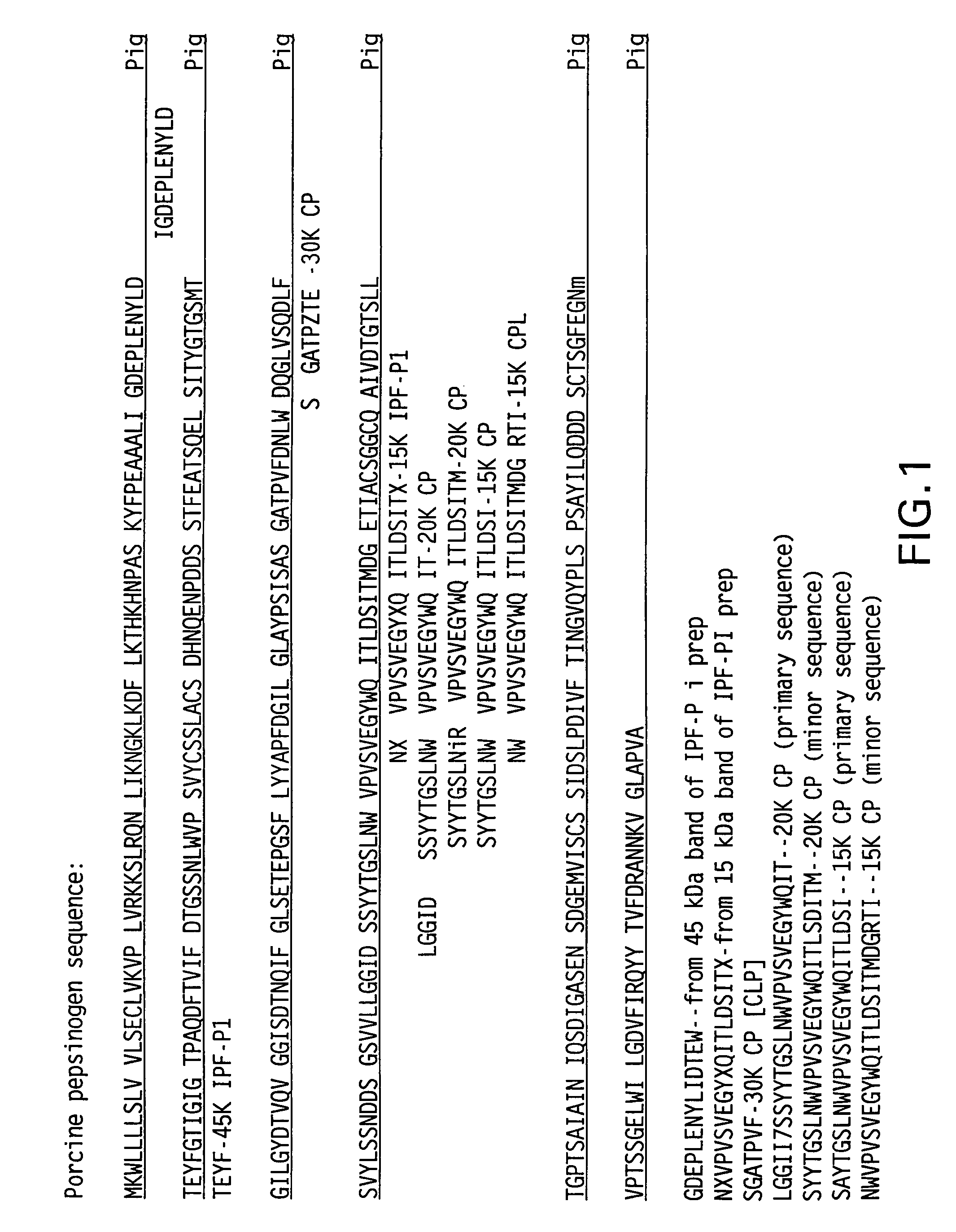 Irreversibly-inactivated pepsinogen fragment and pharmaceutical compositions comprising the same for detecting, preventing, and treating HIV