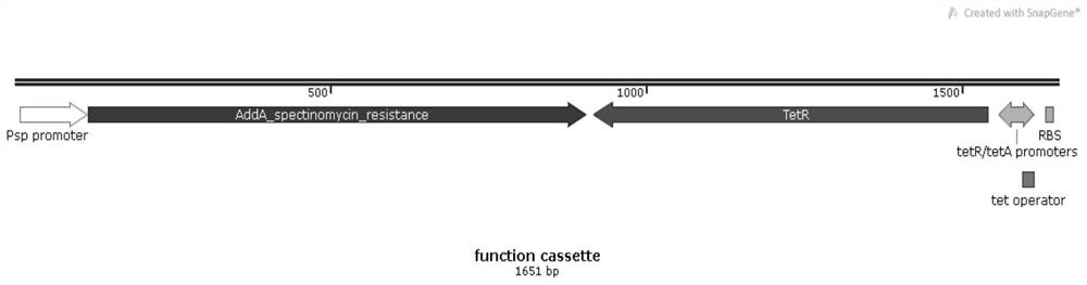 A method for identifying microbial gene functions based on inducible promoters