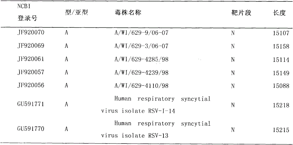 Method and kit for simultaneously detecting human type A and type B respiratory syncytial viruses and human metapneumoviruses