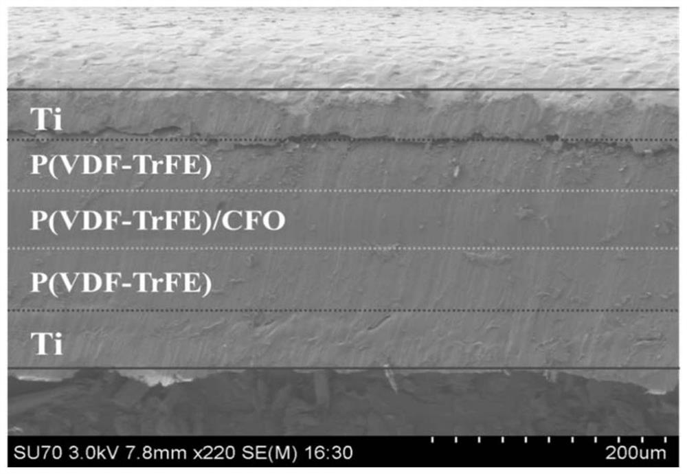 Biomedical multilayer metal-based composite substrate with force-electricity and magnetic-electricity response characteristics and preparation method of biomedical multilayer metal-based composite substrate