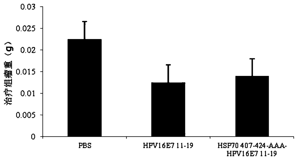 Multi-epitope combined peptide used for treating and preventing human papillomavirus infection and related diseases