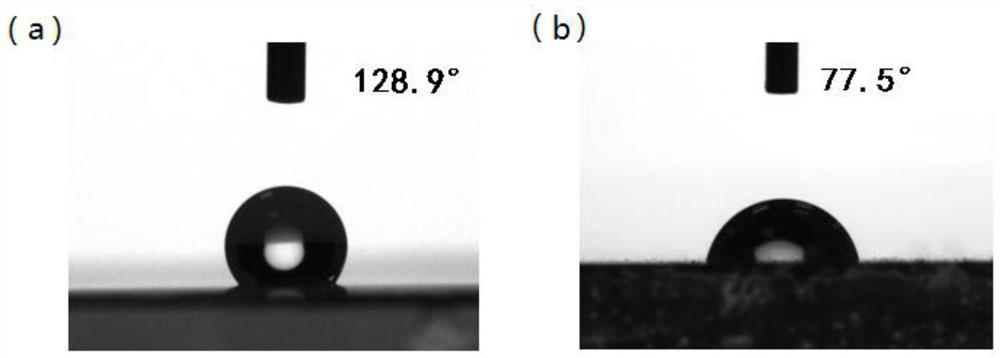 High-adhesion fluorine-containing hydrophobic polyurethane transparent protective coating and preparation method and use method thereof