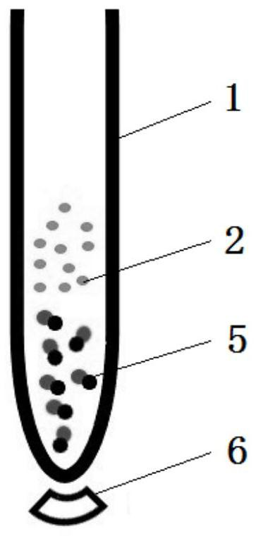 Immunomagnetic bead for separating red blood cells, and preparation method and application of immunomagnetic bead