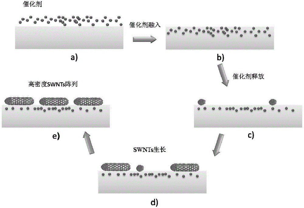 Ultra-high-density single-walled carbon nanotube horizontal array and controllable preparation method thereof