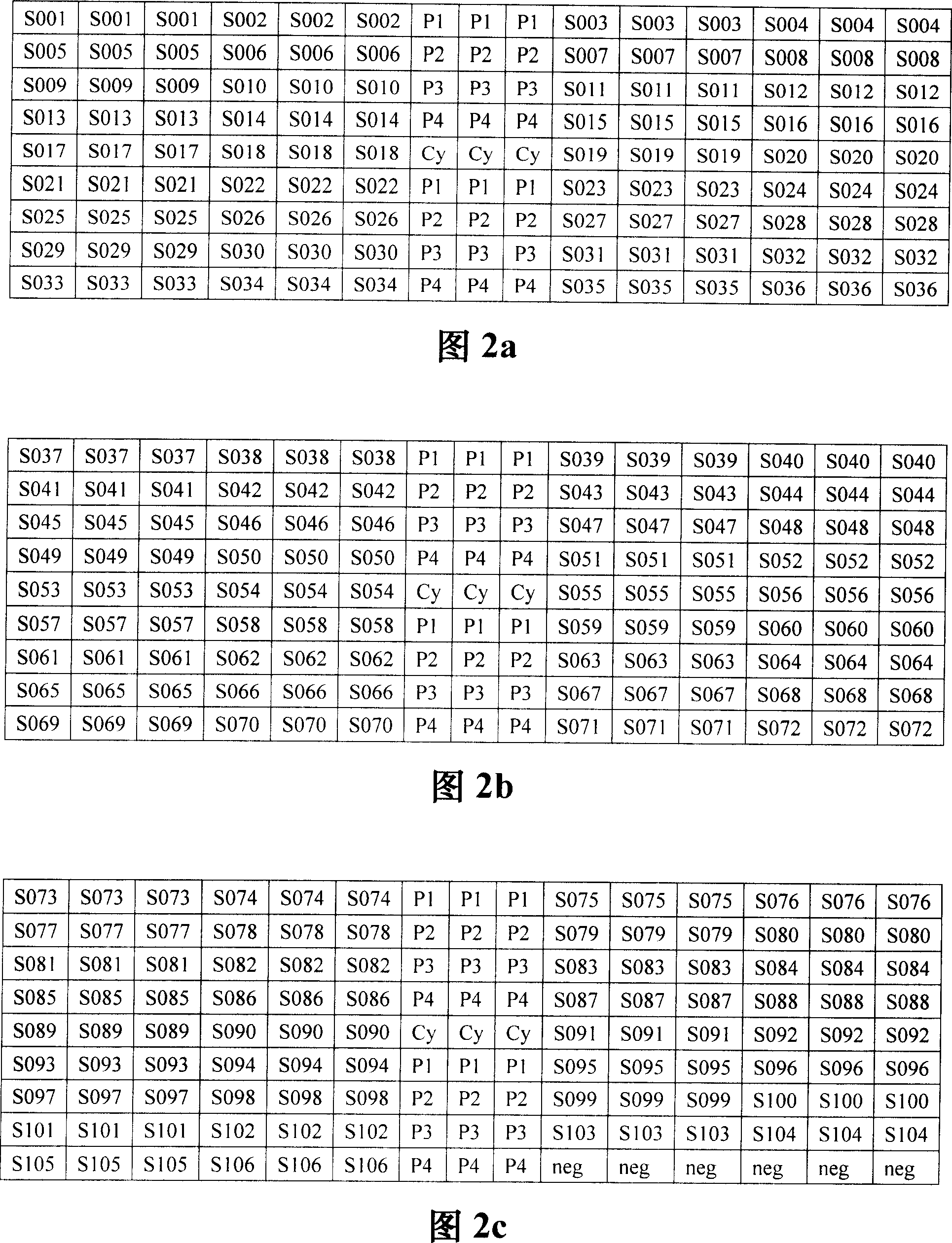 Gene chip for inspecting and grouping SARS coronavirus, its method and reagent kit