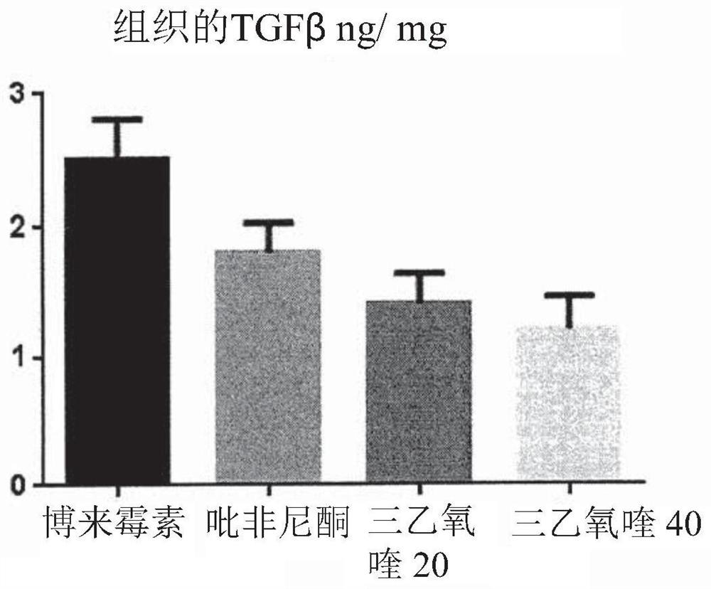 Use of h4 agonist molecules for the treatment of idiopathic pulmonary fibrosis