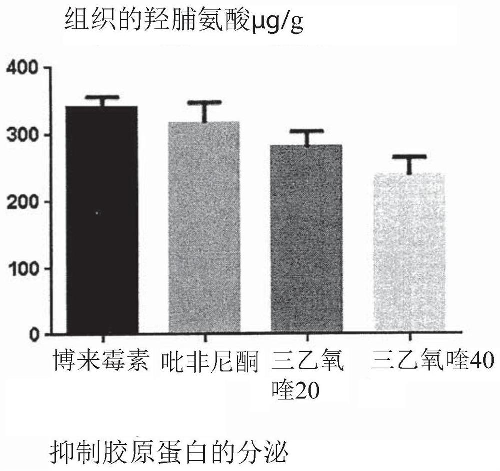 Use of h4 agonist molecules for the treatment of idiopathic pulmonary fibrosis