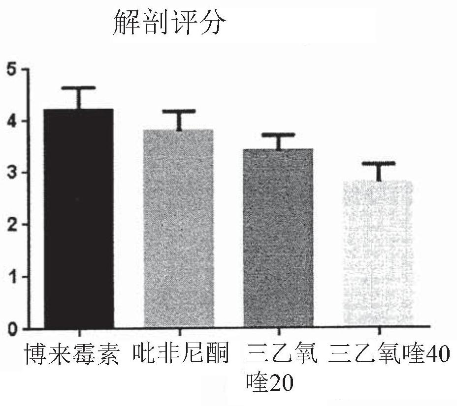 Use of h4 agonist molecules for the treatment of idiopathic pulmonary fibrosis