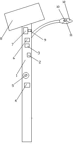 Streetlamp with camera monitoring and infrared induction illumination functions