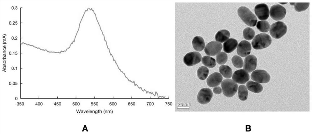 Colorimetric biosensor-based fecal helicobacter pylori rapid detection kit