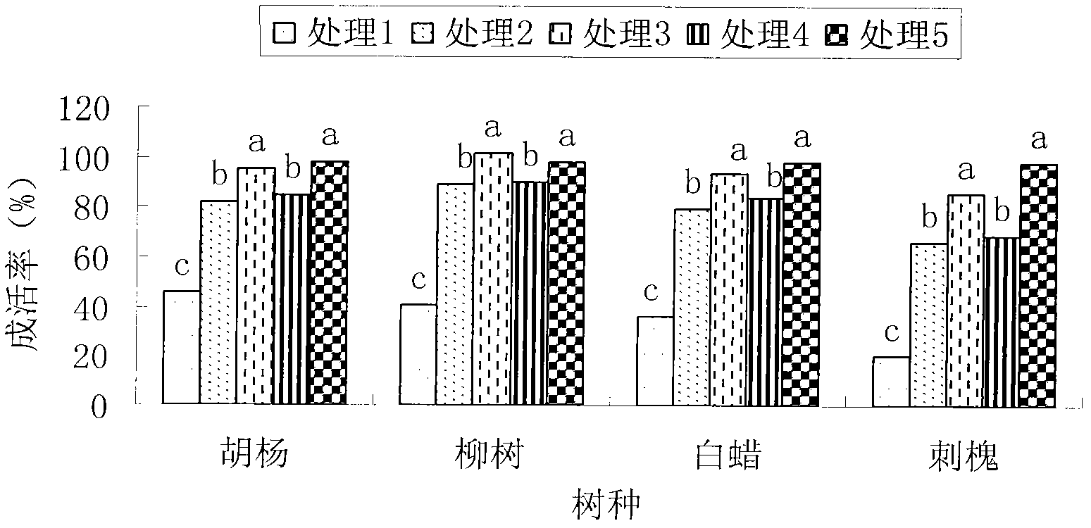 Water-holding root-promoting halophilic alkaliphilic microorganism root dipping liquid and preparation and application thereof