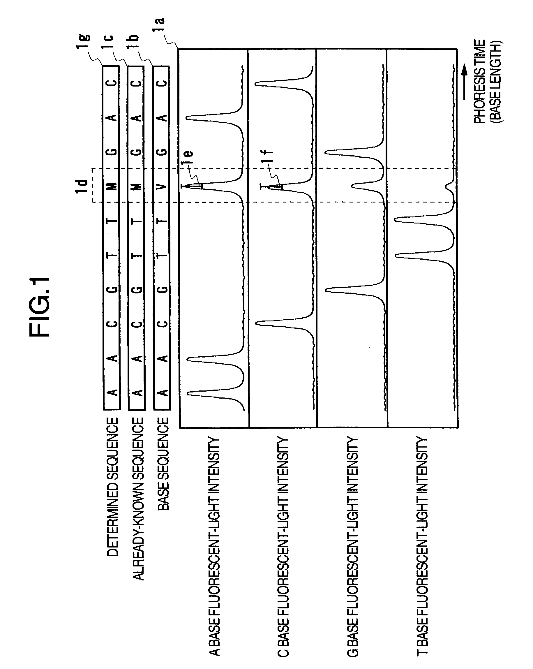 Nucleic acid base sequence determining method and inspecting system