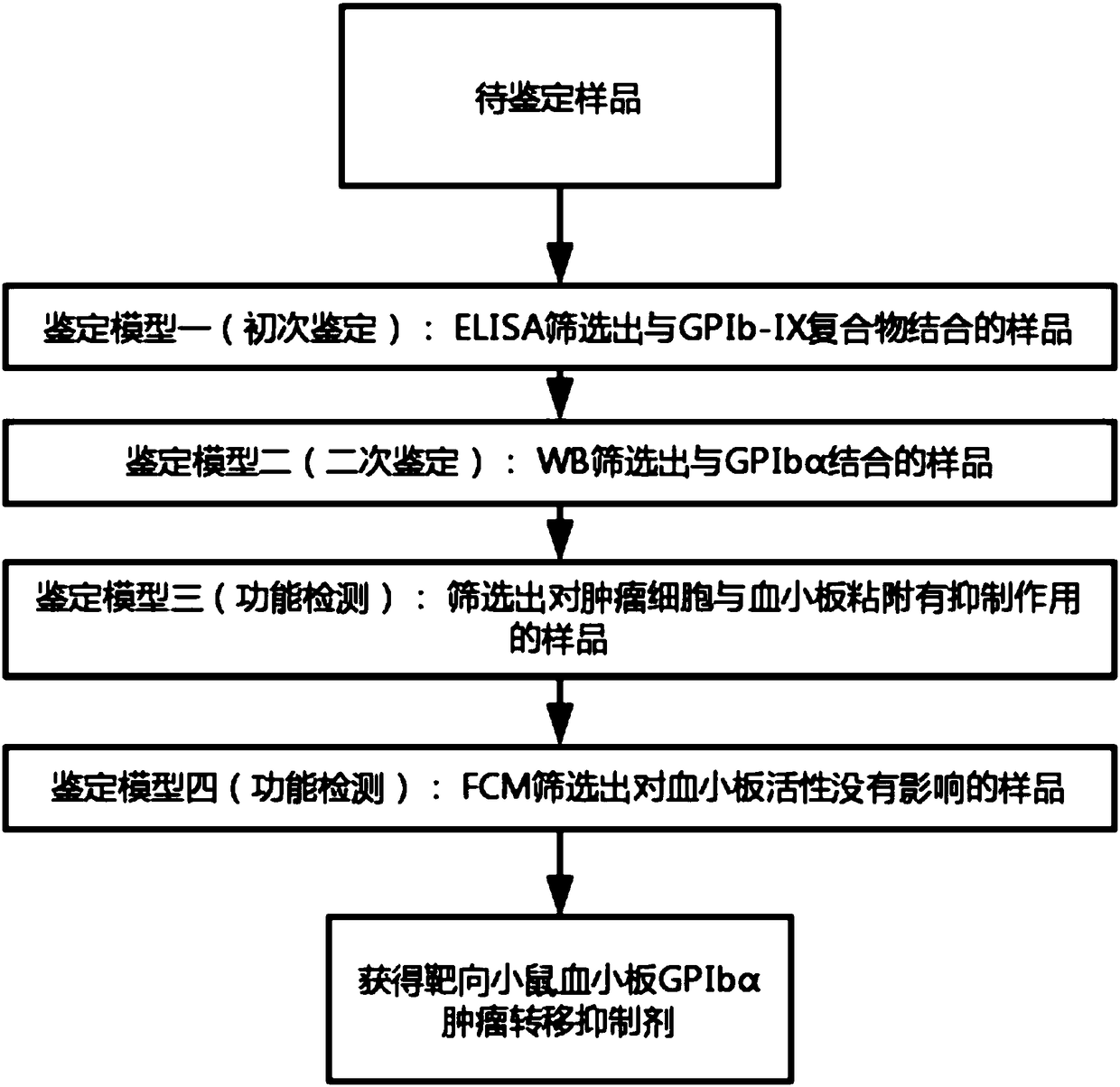 Tumor metastasis inhibitor of targeted mouse platelet membrane glycoprotein GPIb alpha and identification method of inhibitor